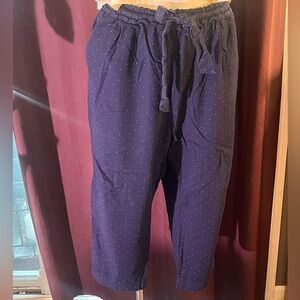 GAP Navy Blue Polka Dot Women’s Pants